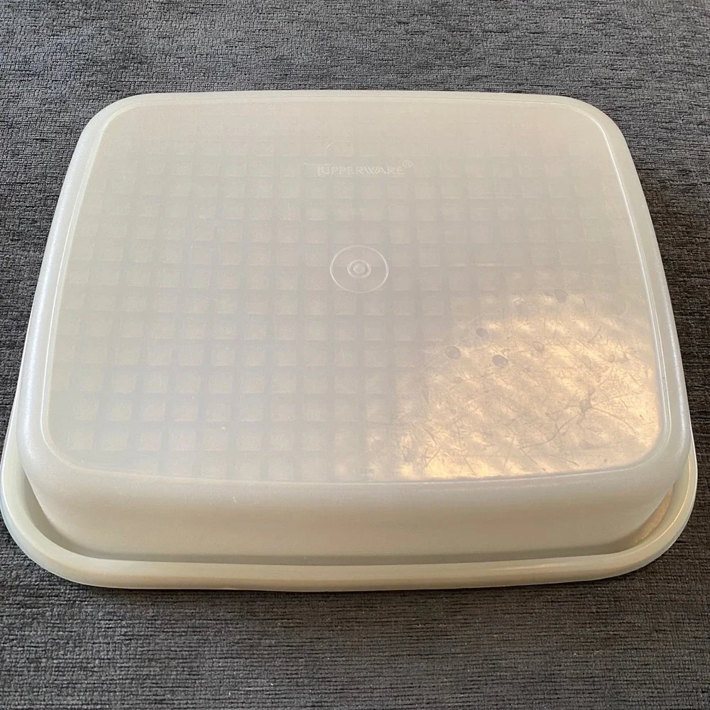Vintage Tupperware Season N Serve Meat Marindade Rectangular